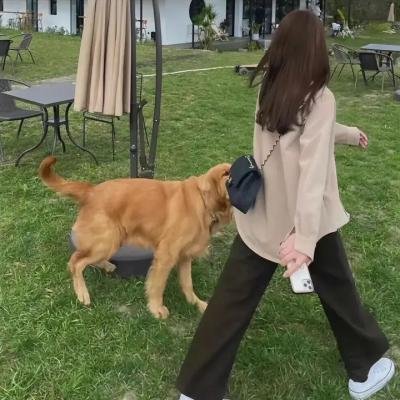 可汗的光荣